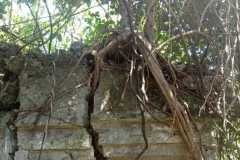 WhatsApp-Image-2026-06-04-at-14.12.53-2